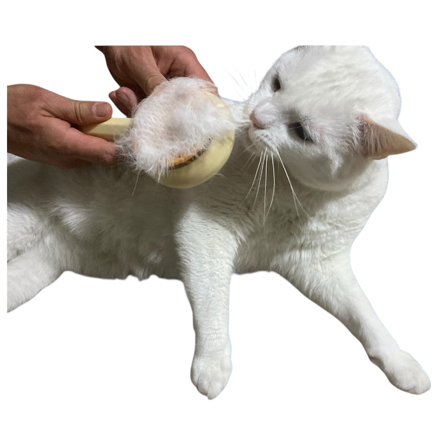 Cepillo Para Perros Y Gatos Con Expulsador De Pelo